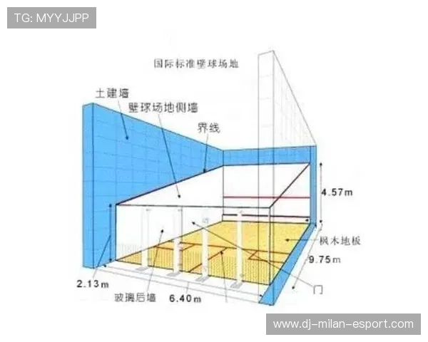 壁球连续拉拍强势压制对手：用节奏撬动胜负的秘密