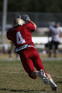 Ac米兰俱乐部官网-全国青少年跳水锦标赛在深圳火热进行，全国青少年跳水比赛