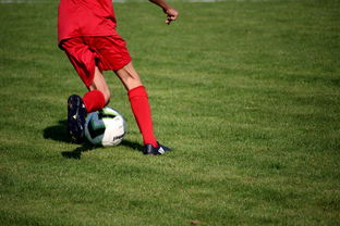 中国米兰官方-体育新闻中心发布体育短视频内容运营新策略，体育短视频存在的问题