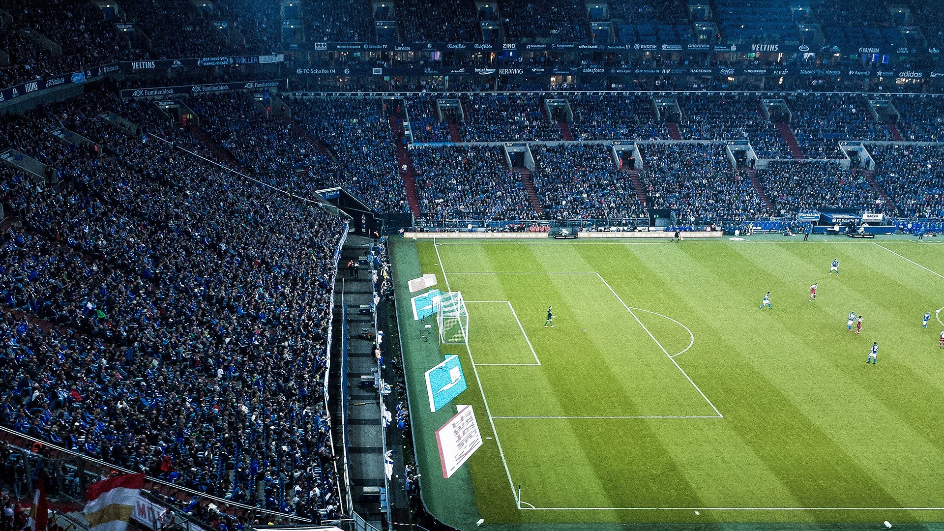 世界杯：球迷关于“下届一定要去现场”的心愿名单刷屏